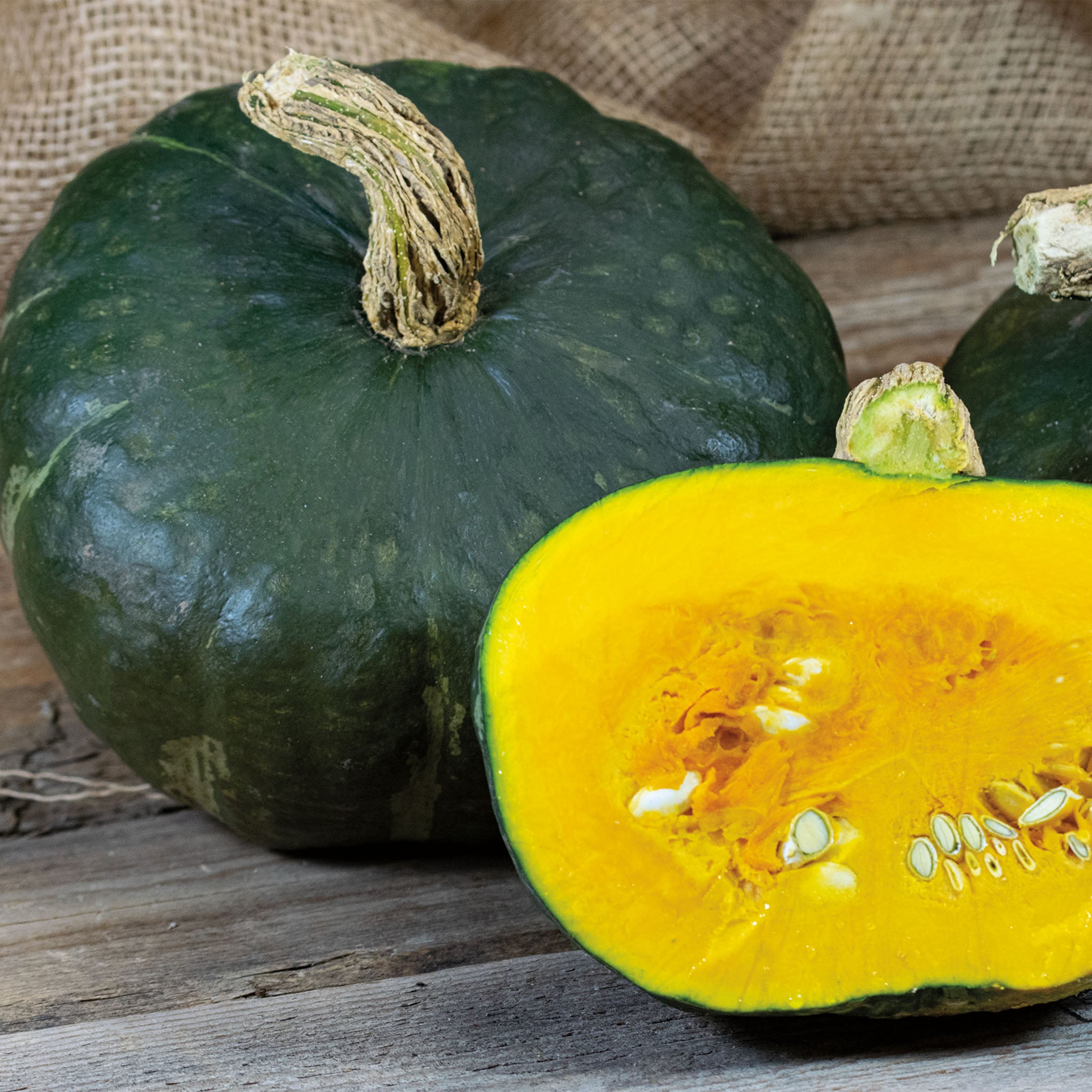 Squash, Winter, Burgess Buttercup Organic