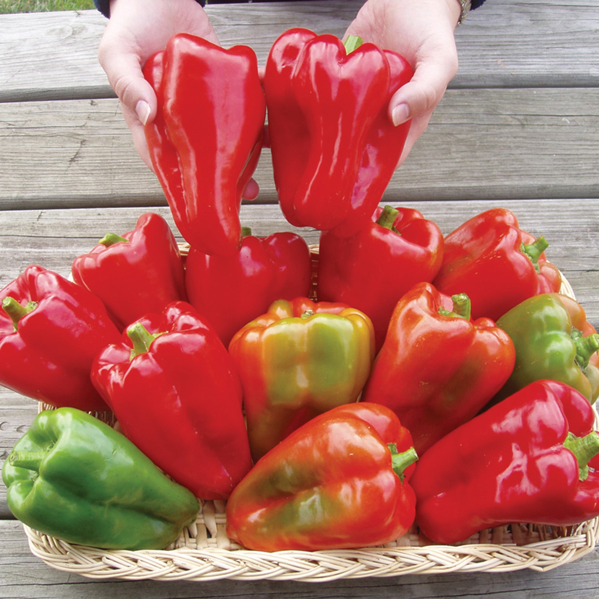 Pepper, Sweet, Margaret's