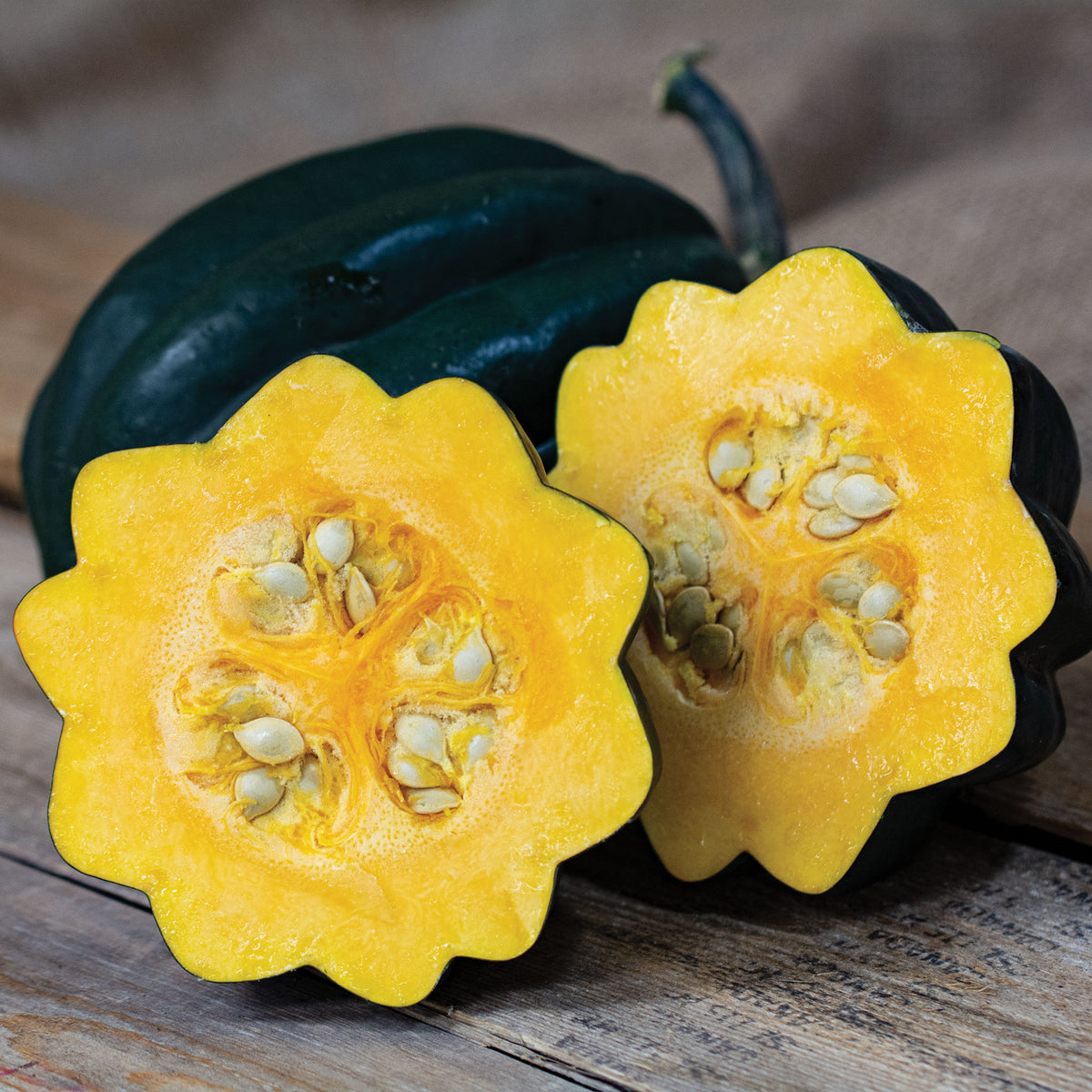 Squash, Winter, Table Ace Hybrid