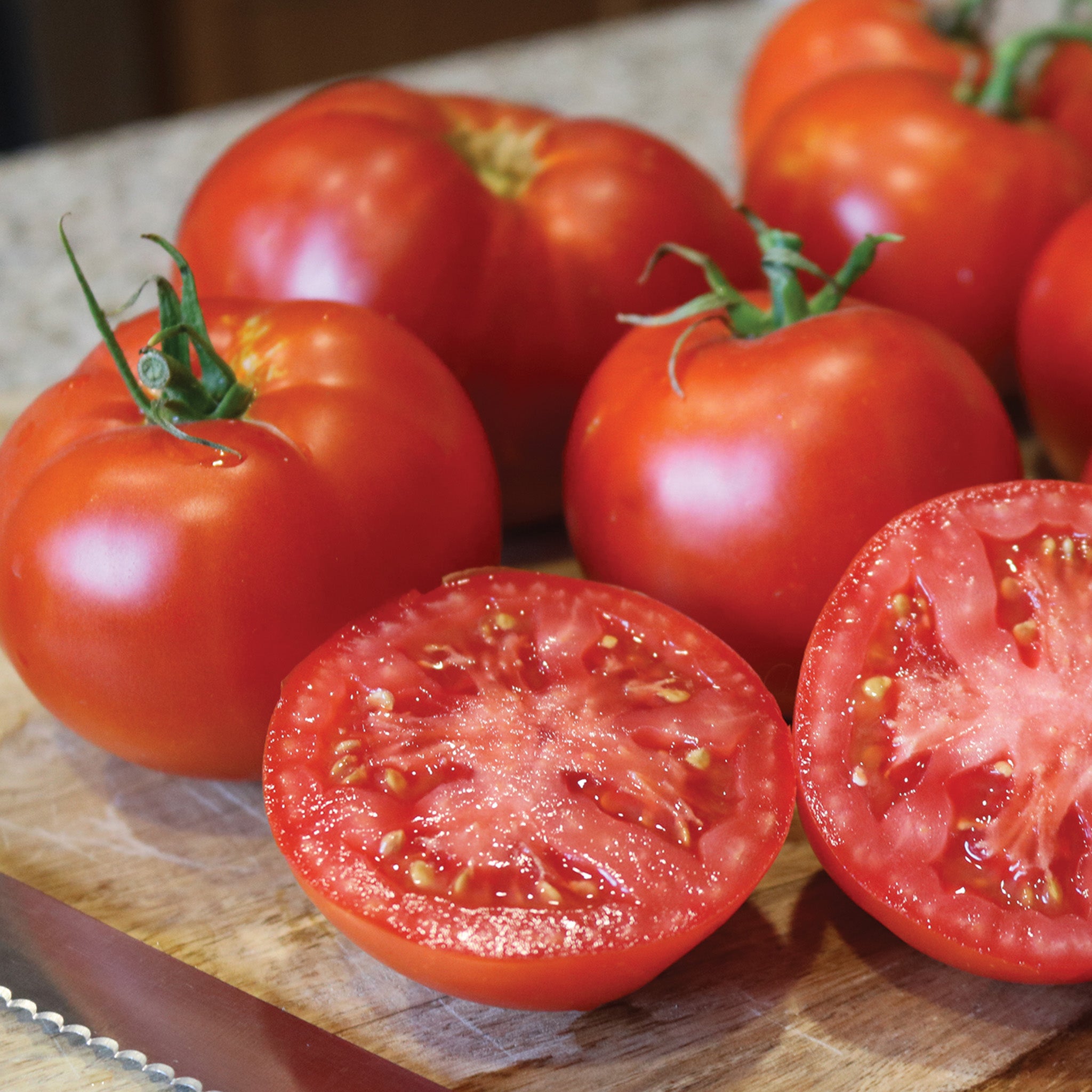 Tomato, Better Boy Plus Hybrid