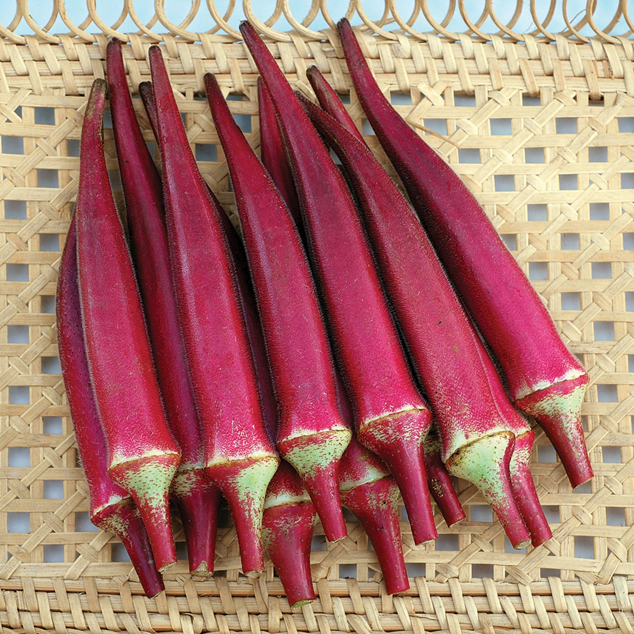 Okra, Candle Fire Hybrid