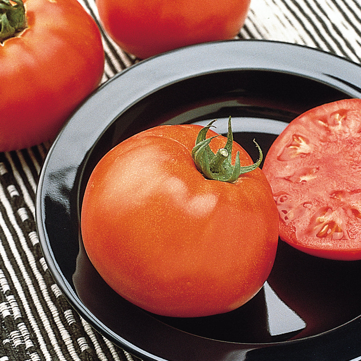 Tomato, Jetsetter Hybrid