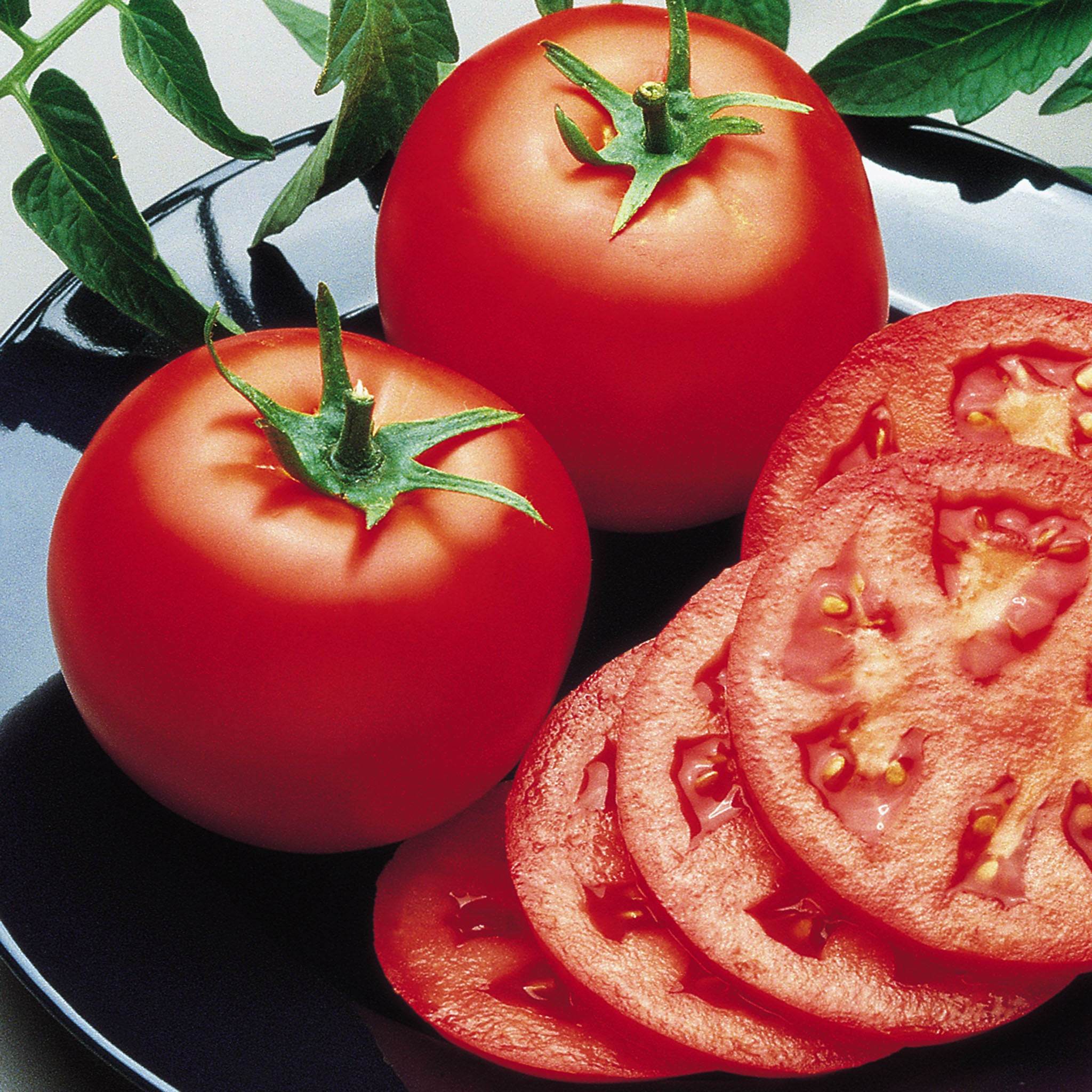 Tomato, Goliath™ Bush Hybrid.