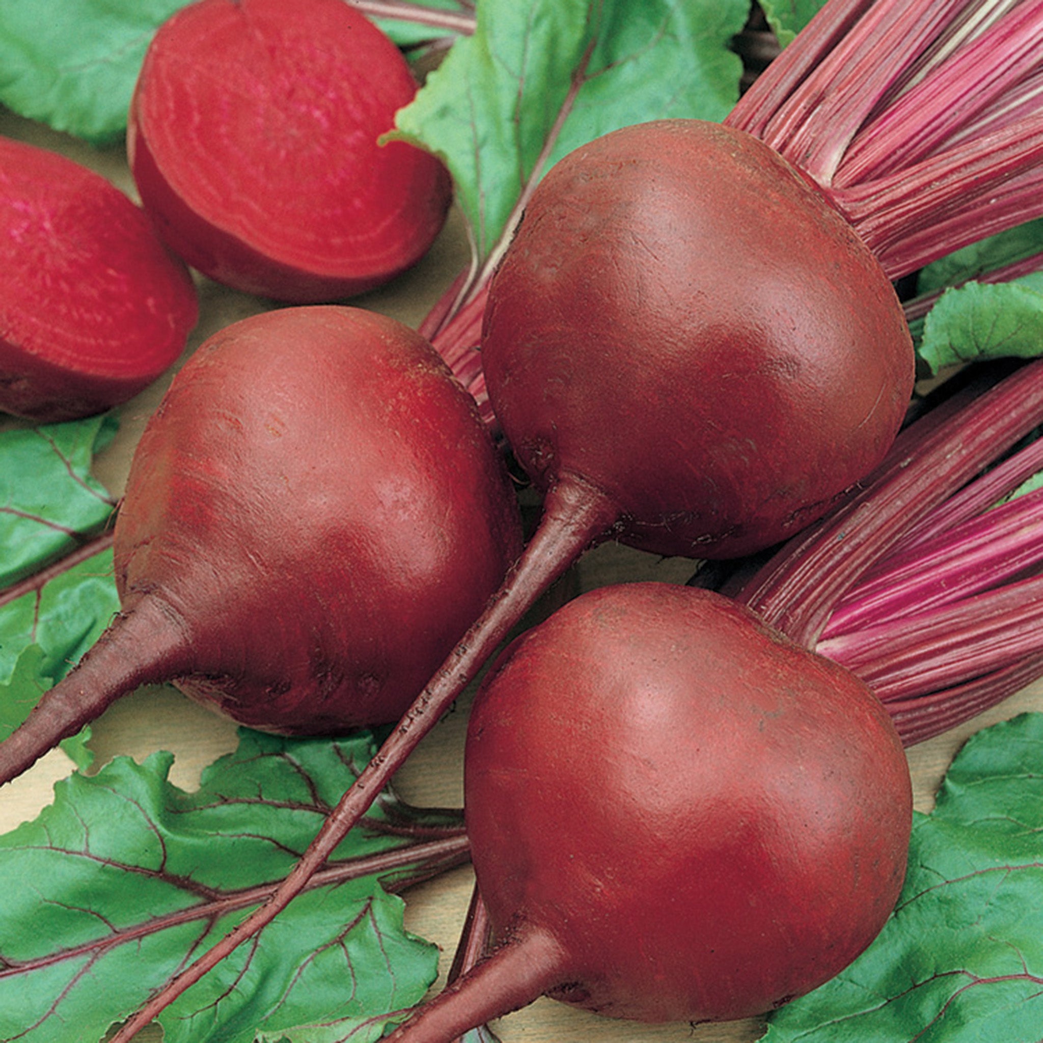 Beet, Red Cloud Hybrid