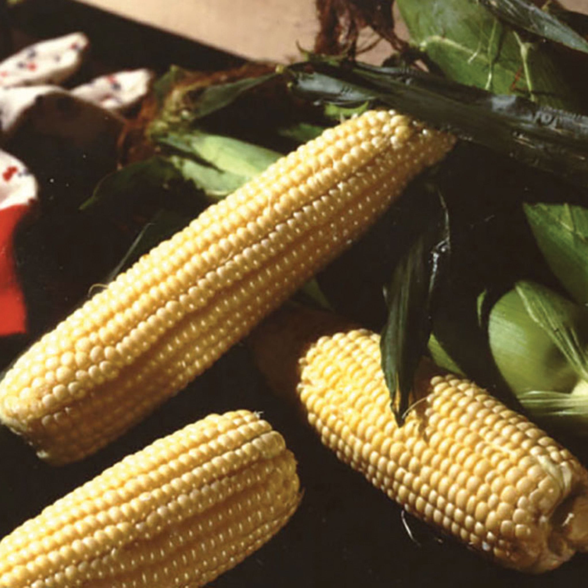 Sweet Corn, Illini Xtra Sweet Yellow Hybrid, Treated