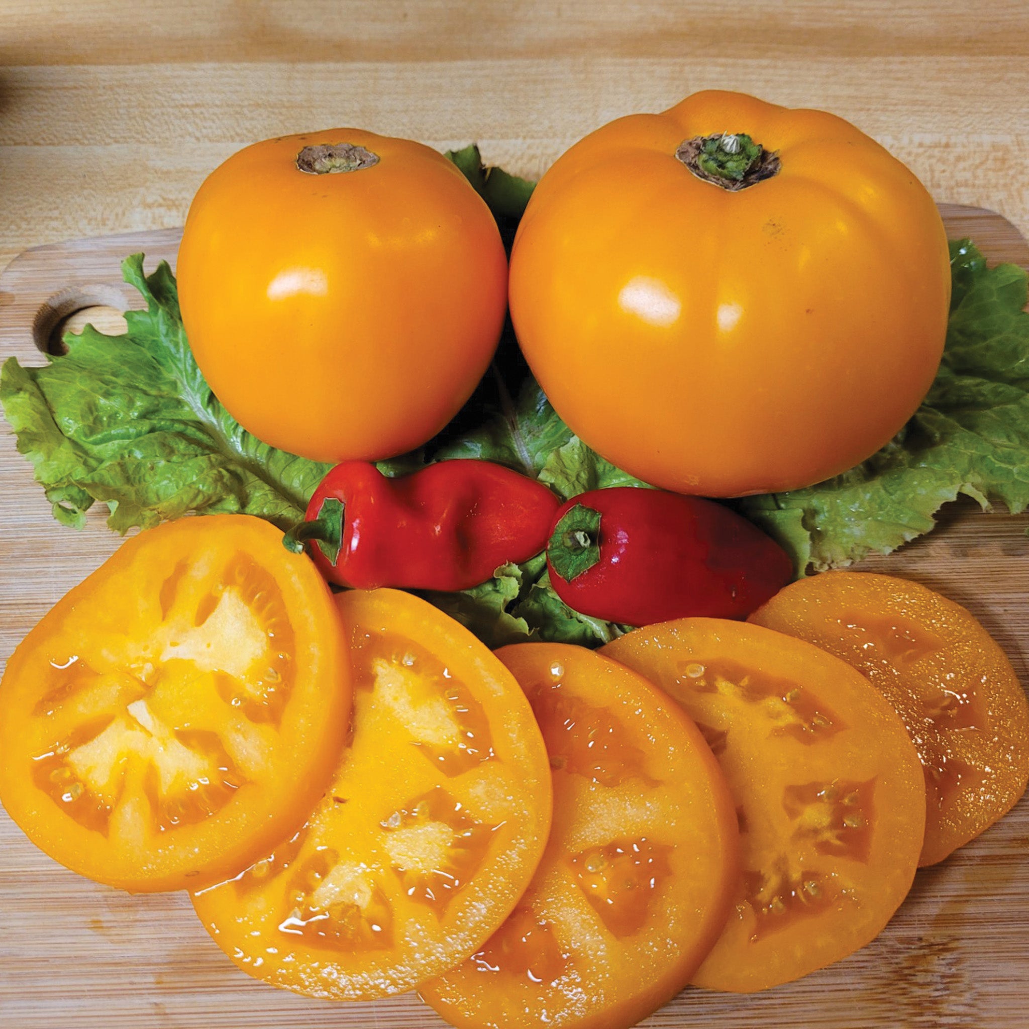 Tomato, Amish Gold Slicer