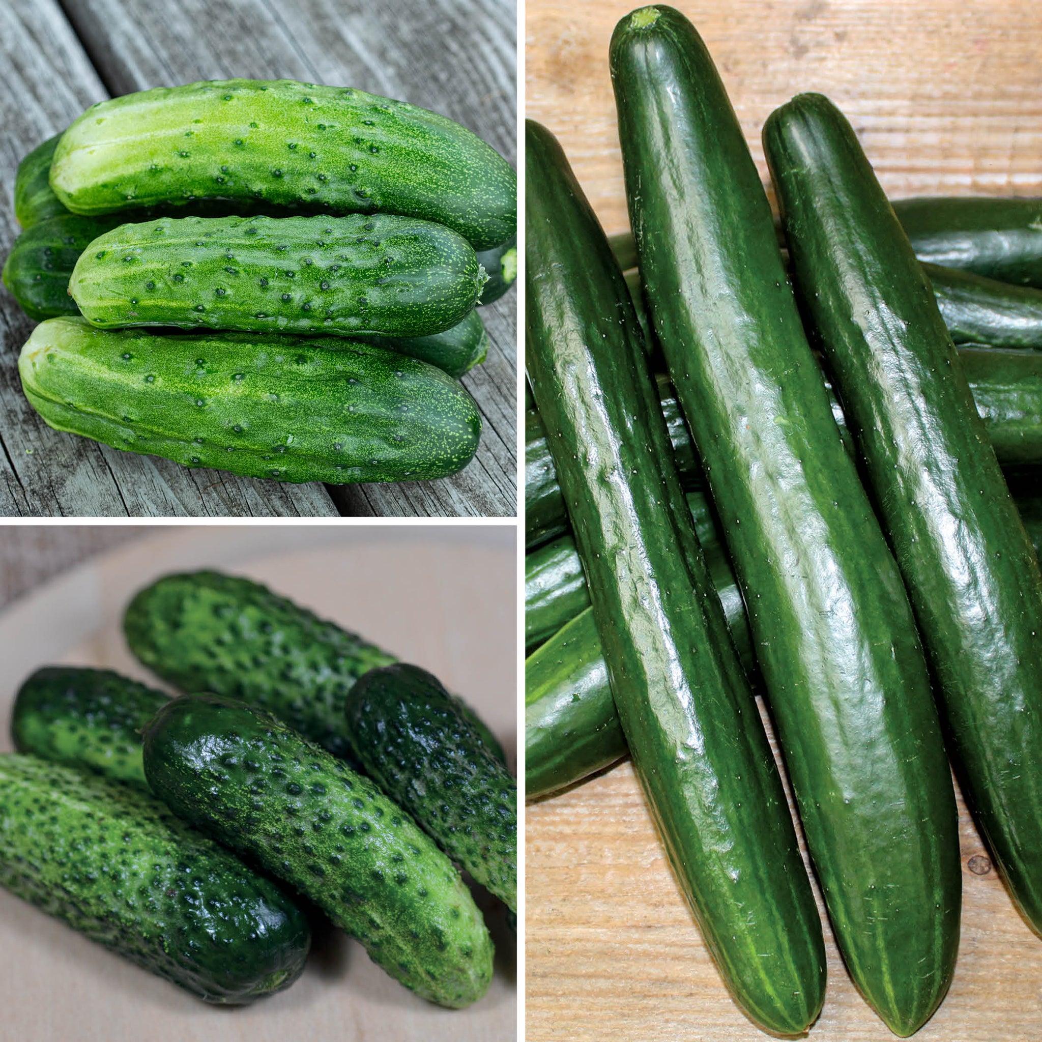 Cucumber Sampler