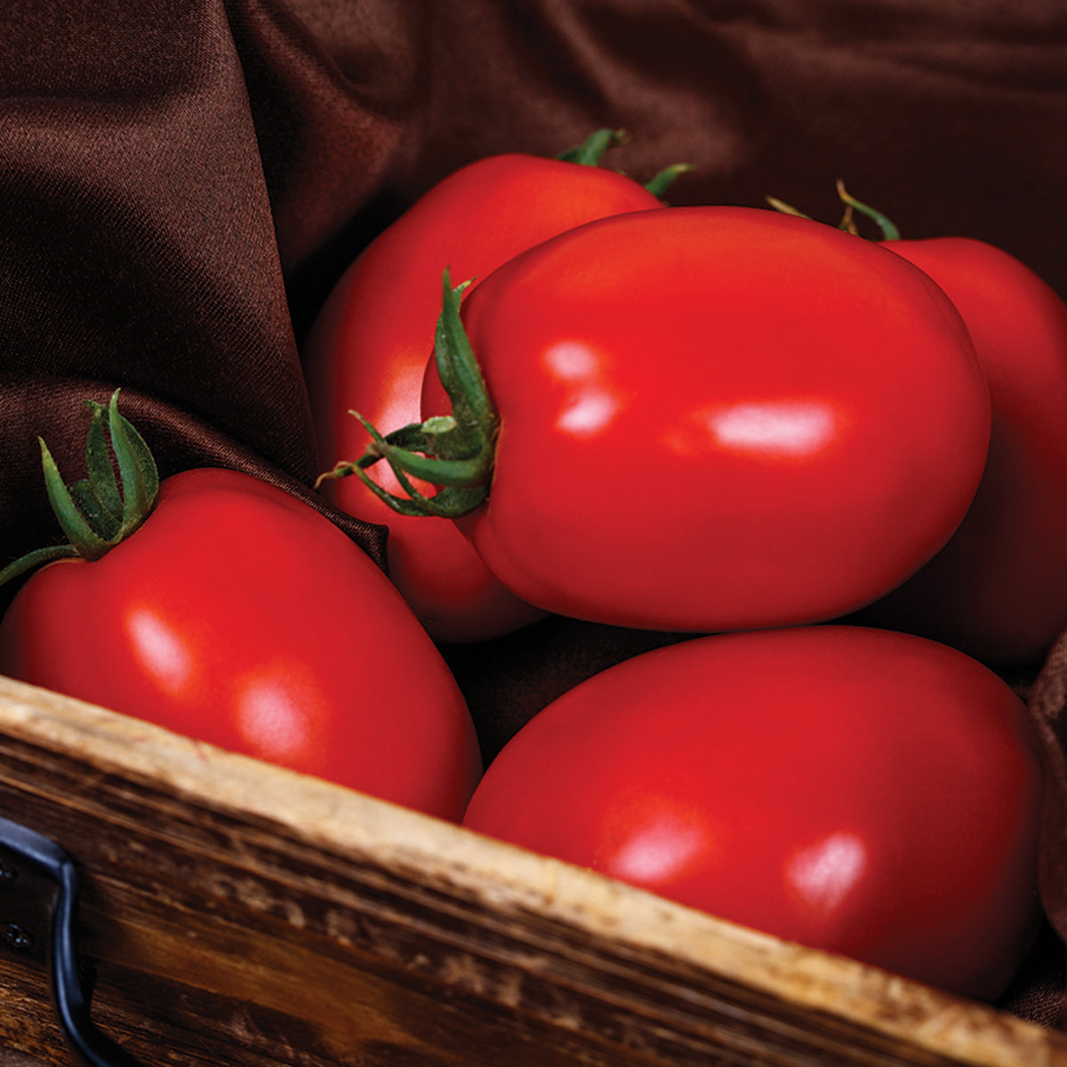 Tomato, Kuzco Hybrid
