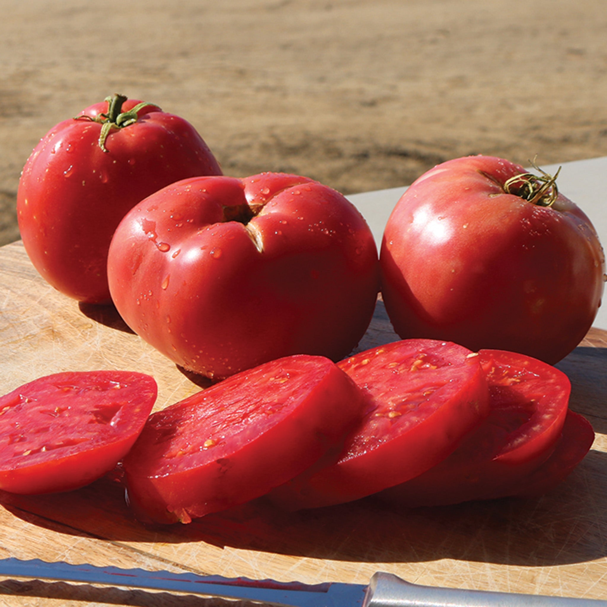 Tomato, Pink Girl Hybrid