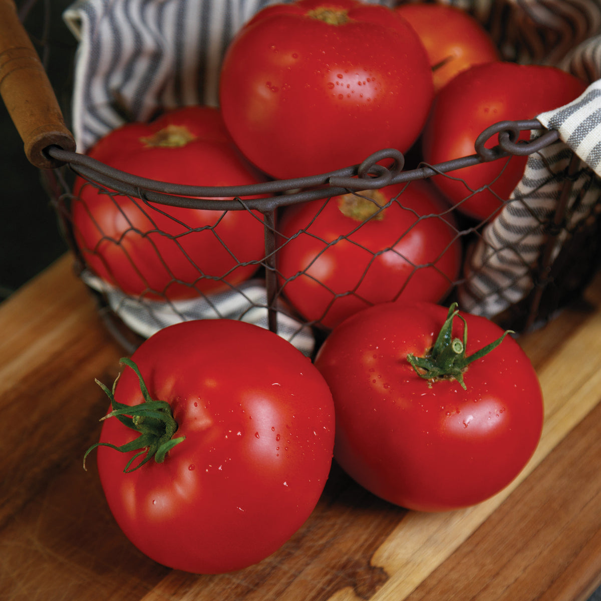 Tomato, RuBee Prize Hybrid