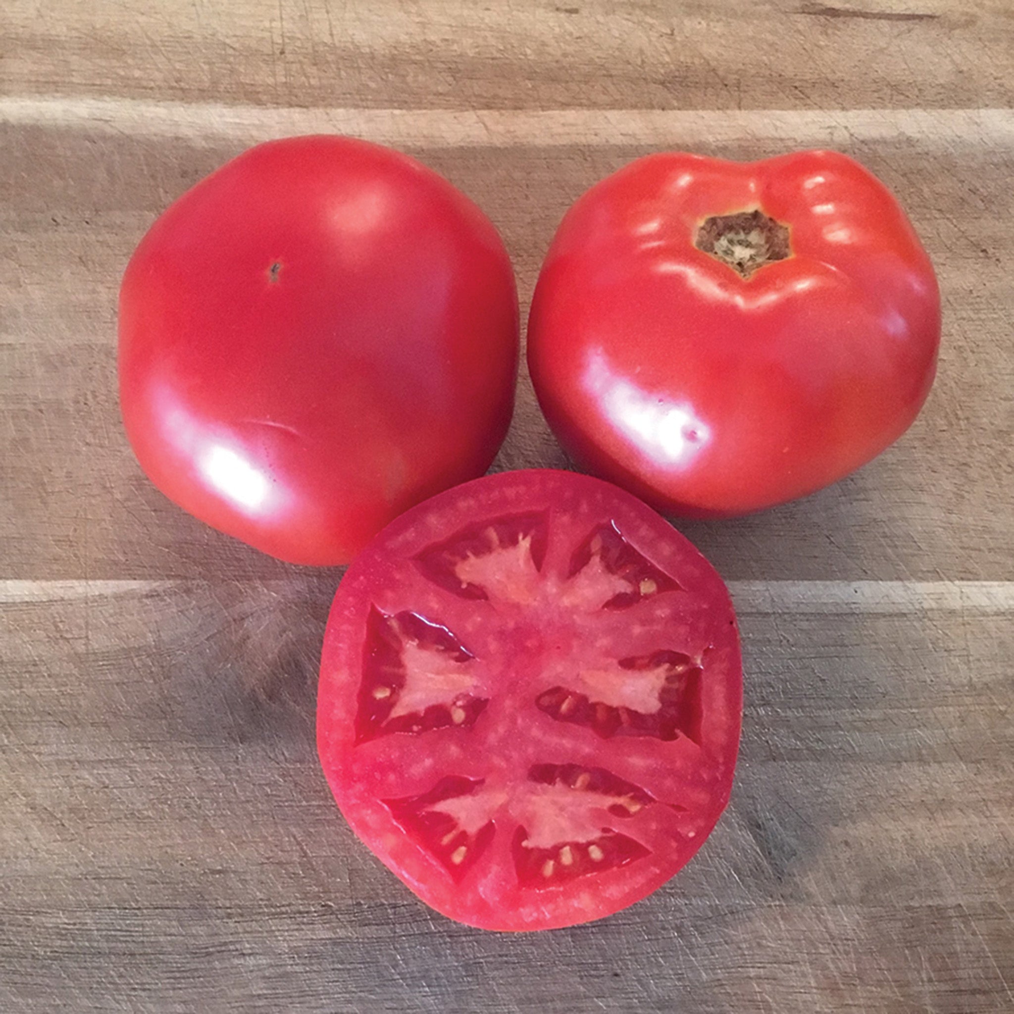 Tomato, Galahad Hybrid