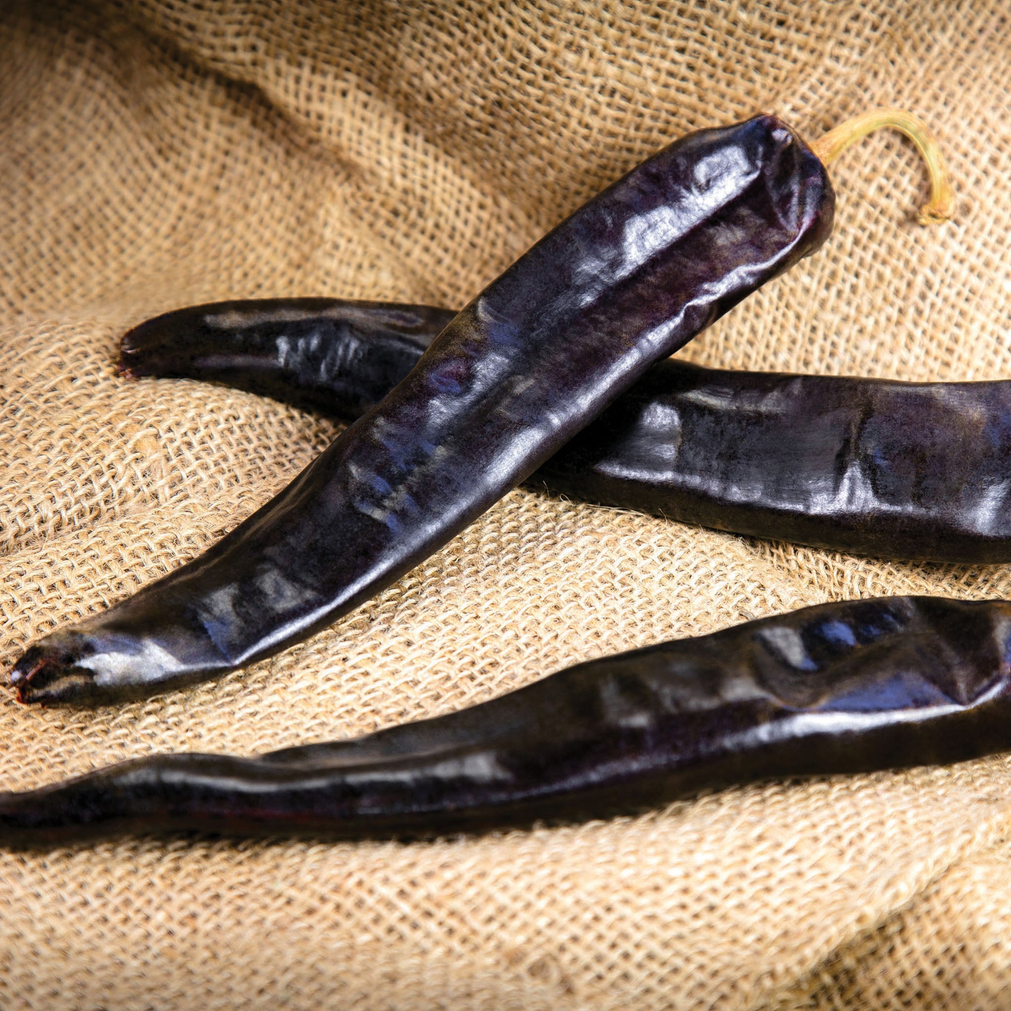 Pepper, Hot, Durango Hybrid