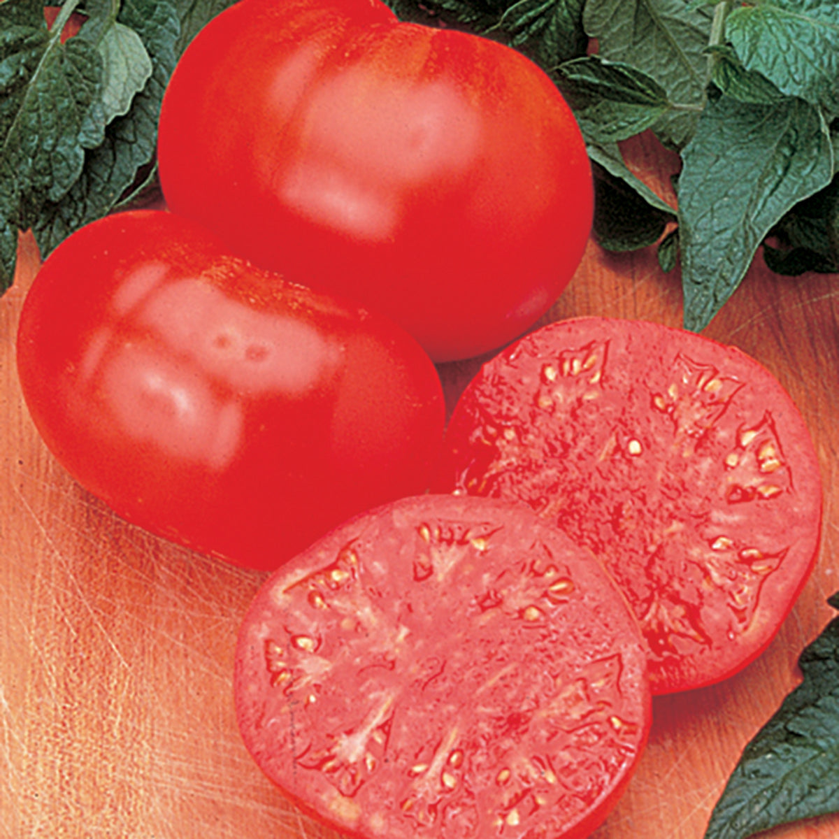 Tomato, Beefsteak