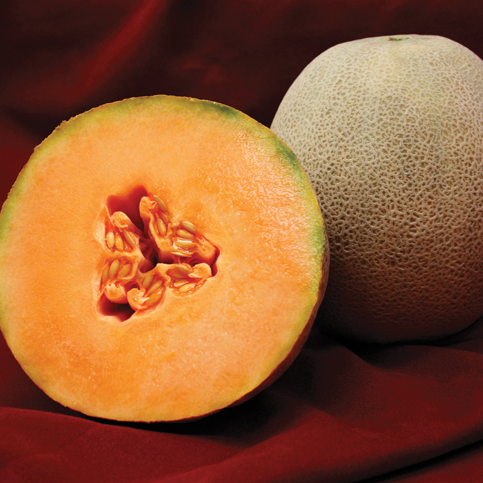 Melon, Avatar Hybrid