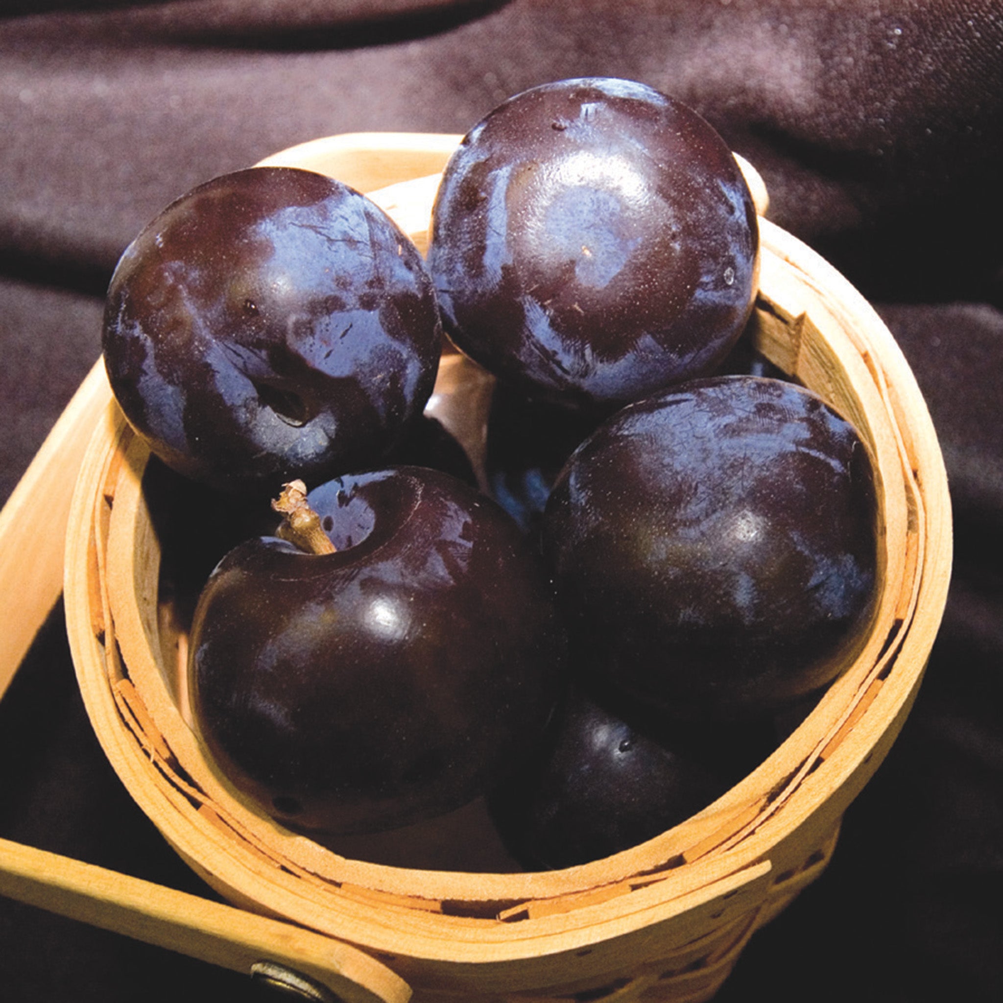 Plum, Black Ice