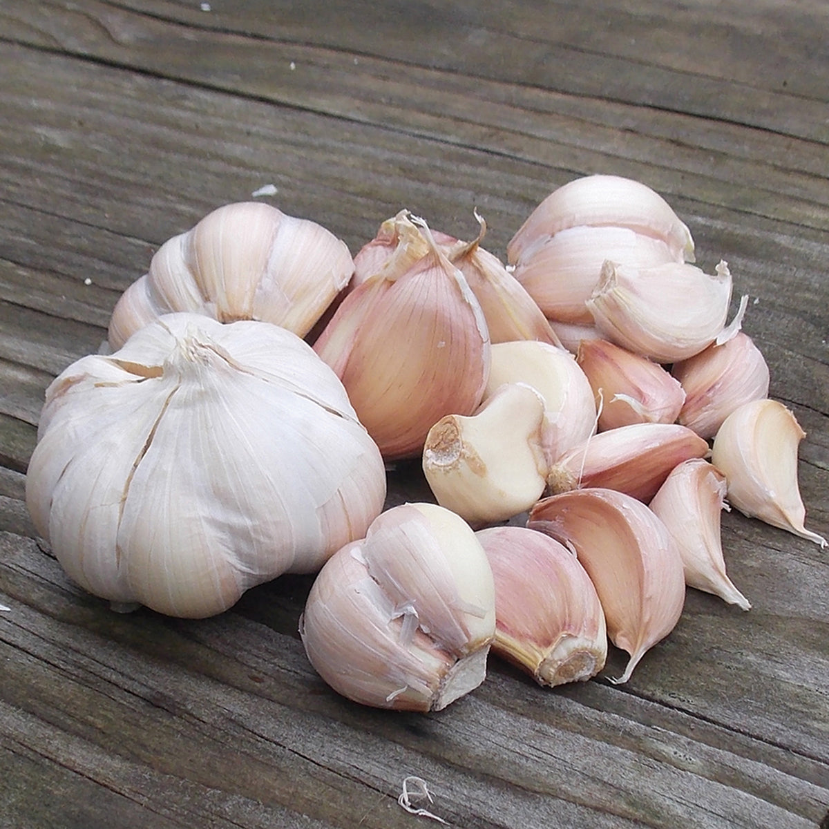 Garlic, Vietnamese Red, 1/2 Lb