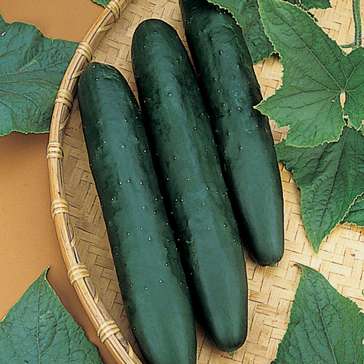Cucumber, Sweet Success Hybrid