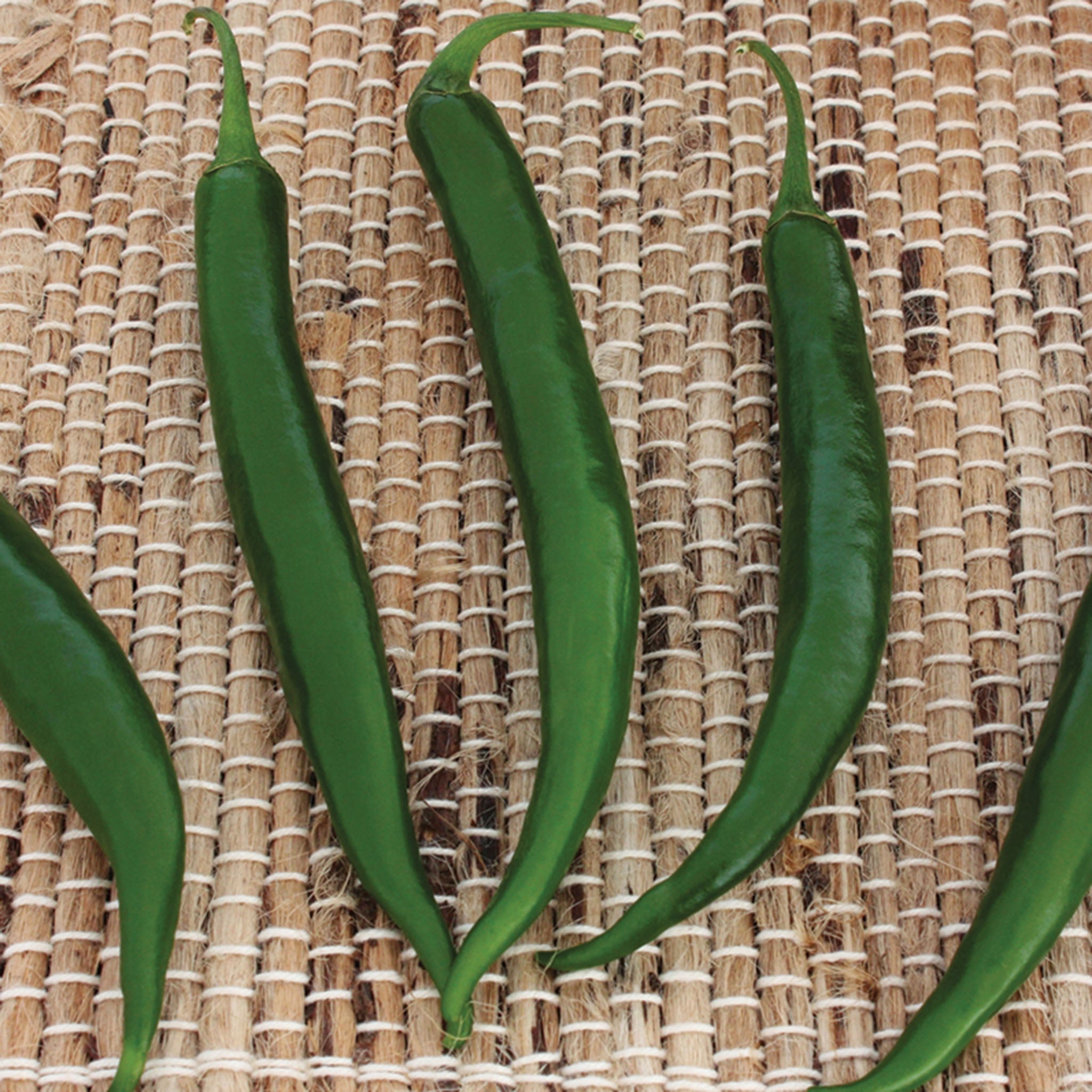 Pepper, Hot, Crackle Hybrid