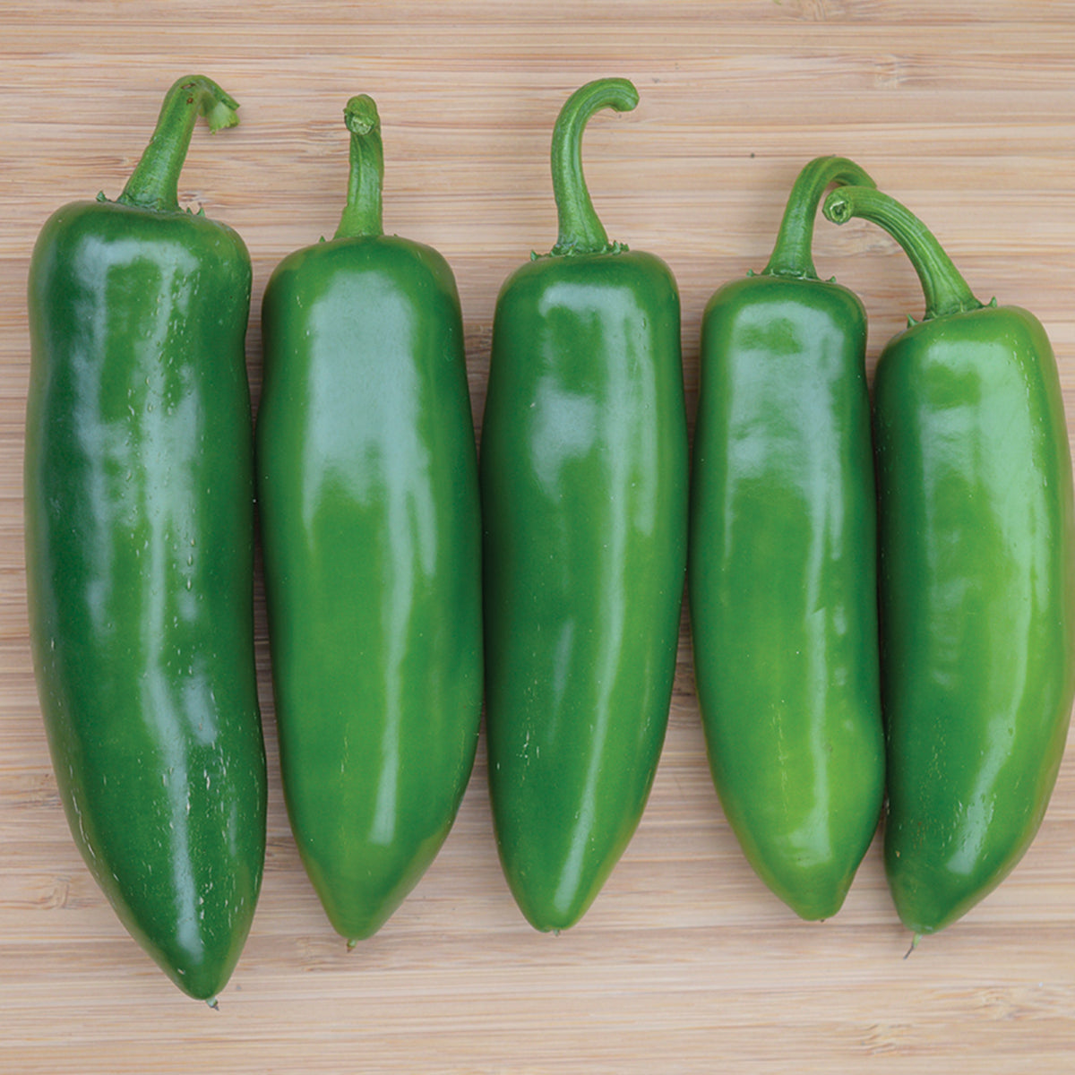 Pepper, Sweet, Tricked You™ Hybrid