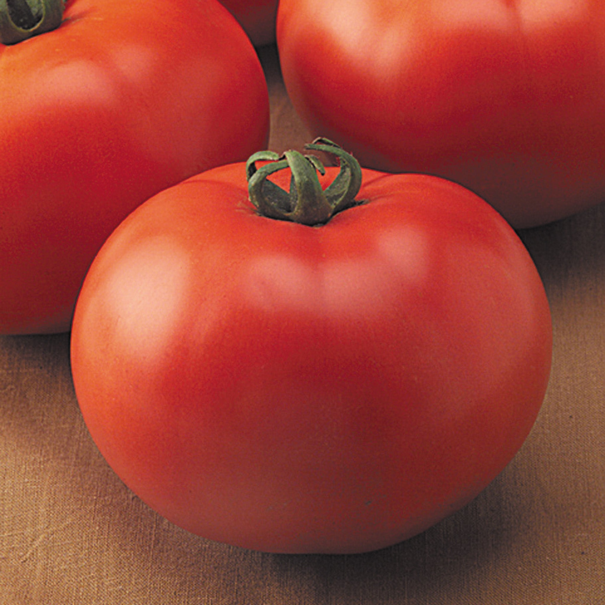 Tomato, Goliath™ Old Fashioned Hybrid.