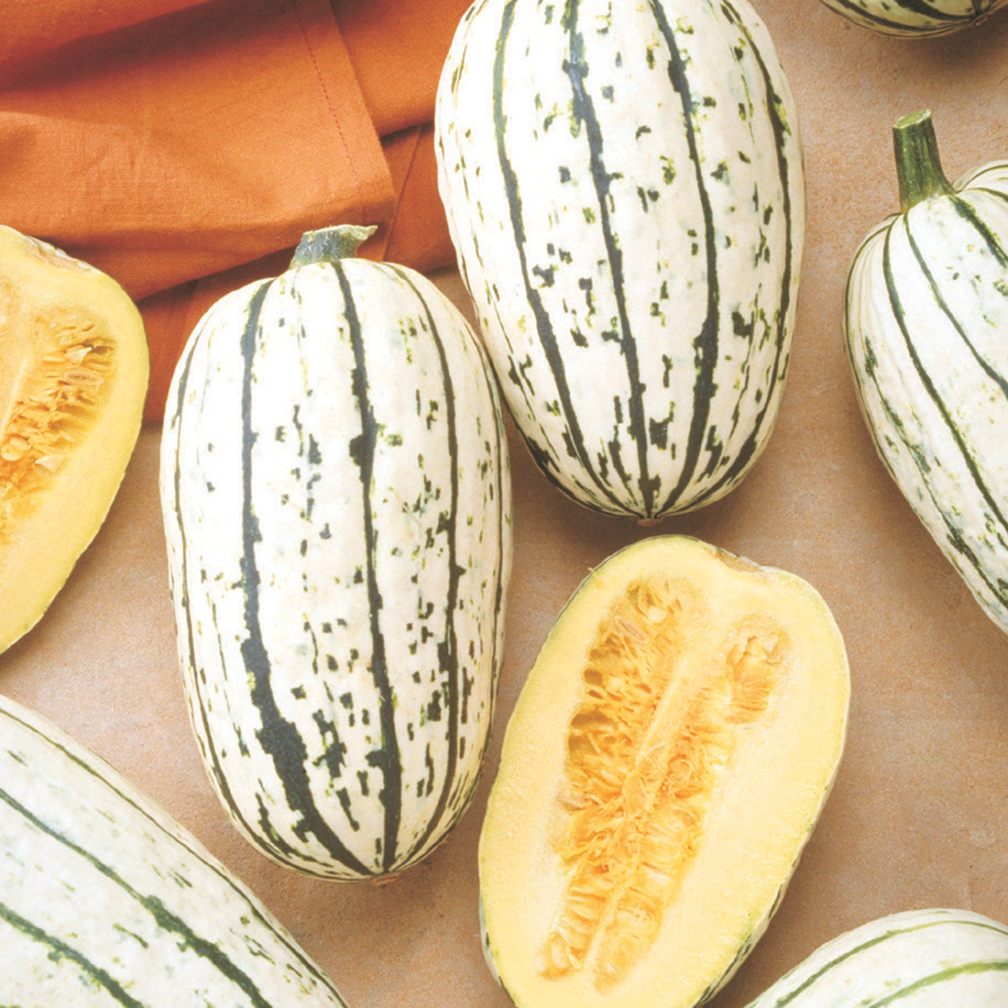Squash, Winter, Bush Delicata