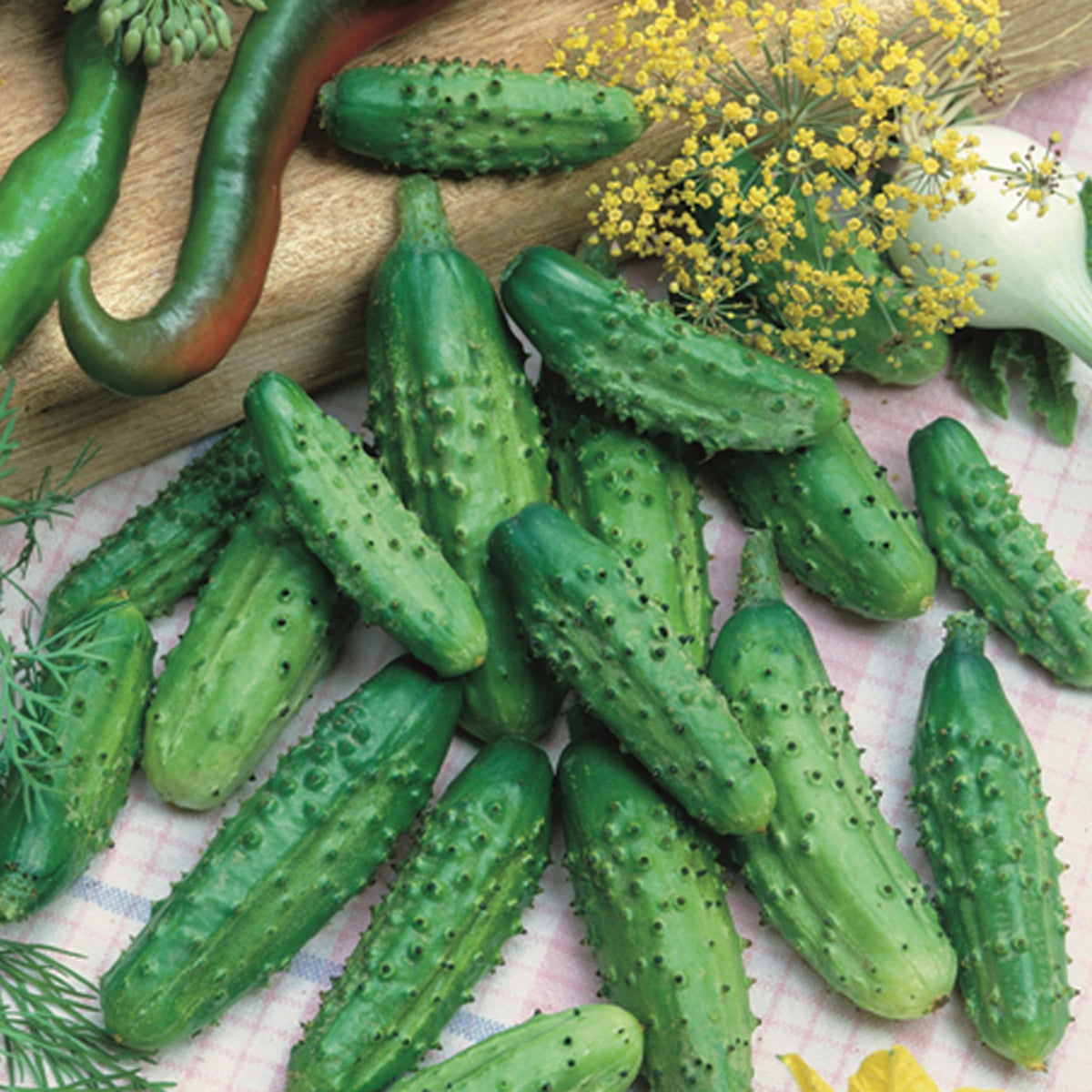 Cucumber, Parisian Gherkin Hybrid