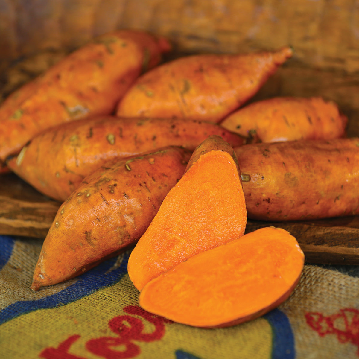 Sweet Potato, Covington