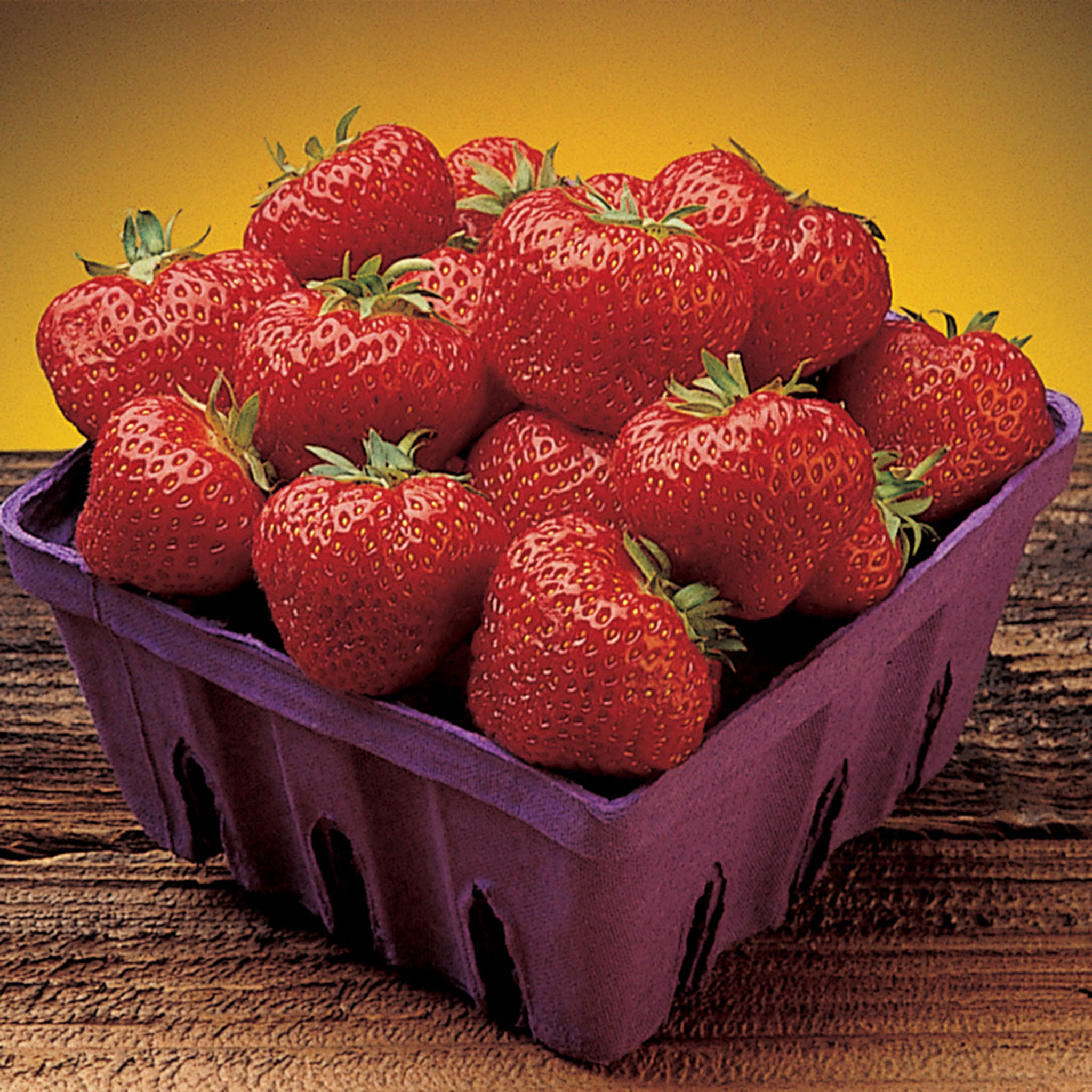 Strawberry, June Bearing, Cavendish, 25 Plants