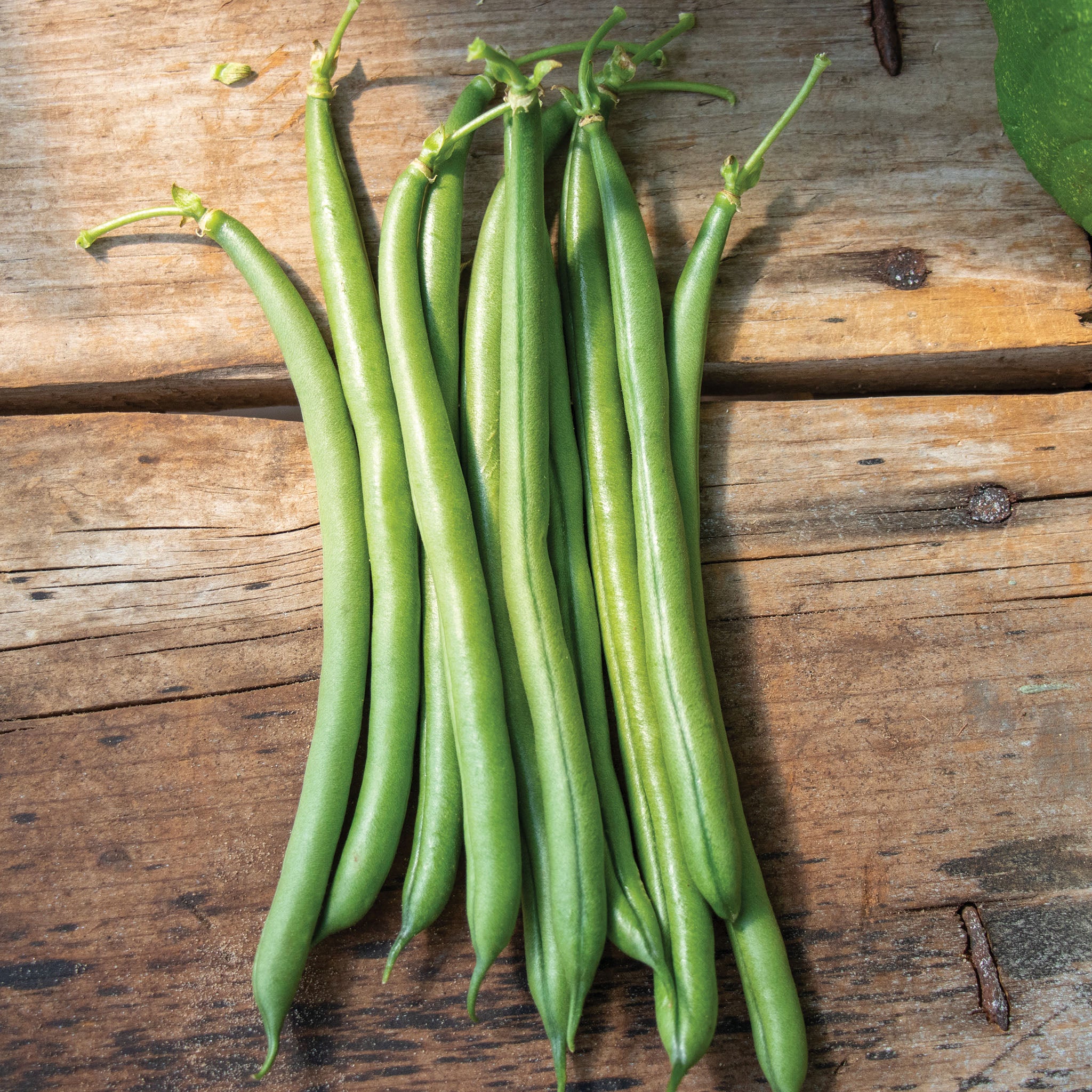 Bean, Pole, Seychelles