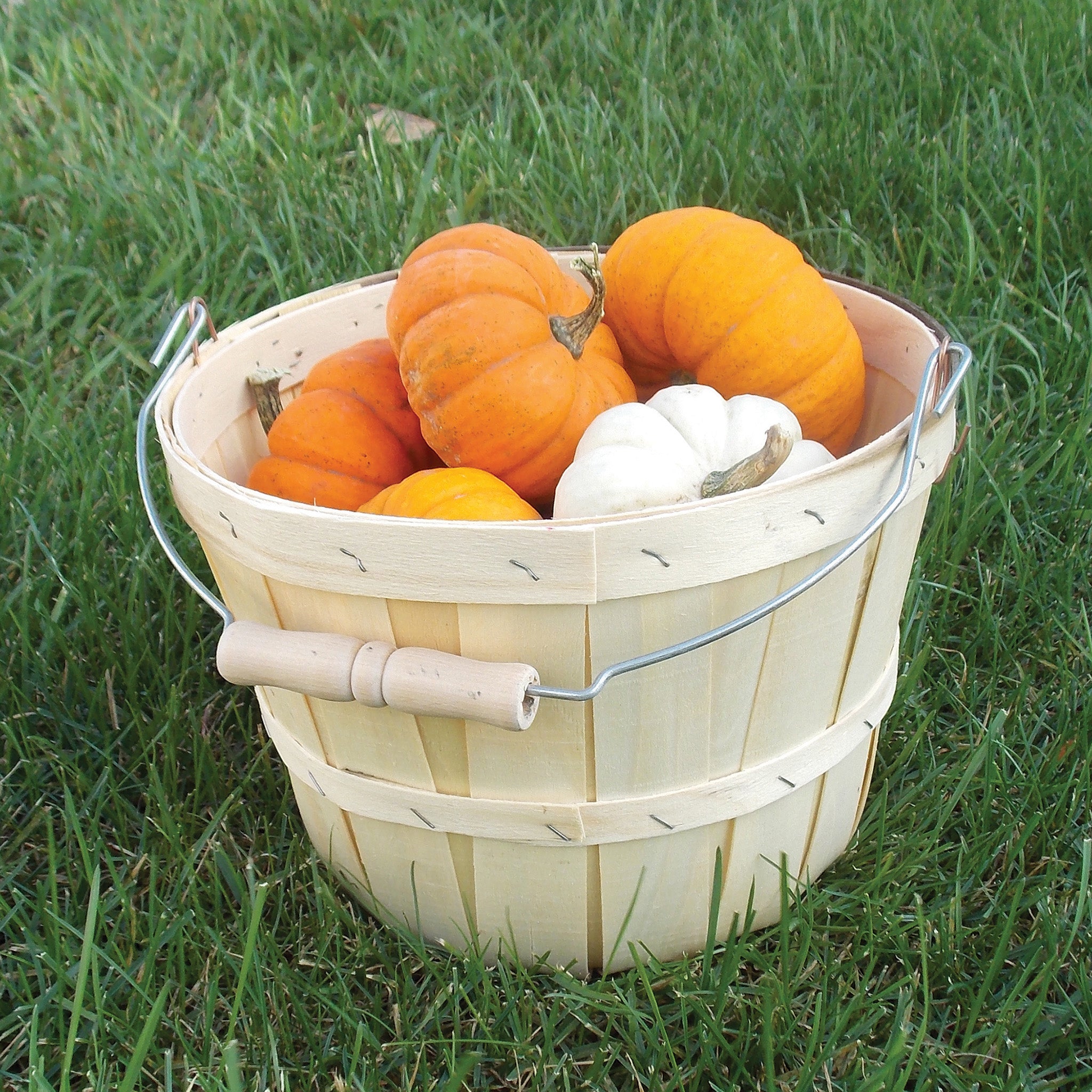 Basket Half Bushel