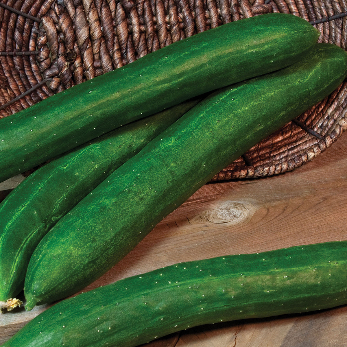 Cucumber, Tasty Green Hybrid