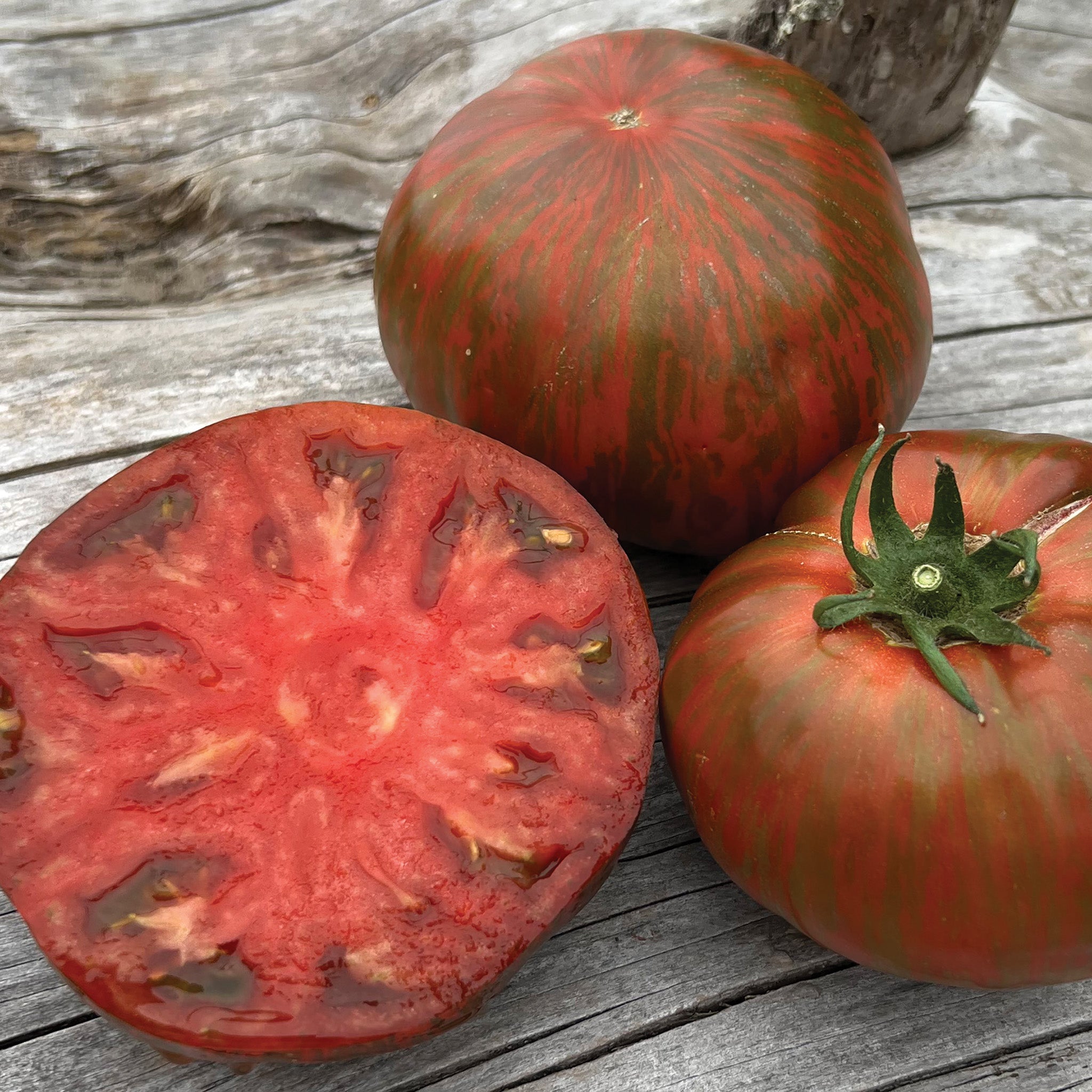 Tomato, Cream of the Crop™ Beefy Purple Hybrid