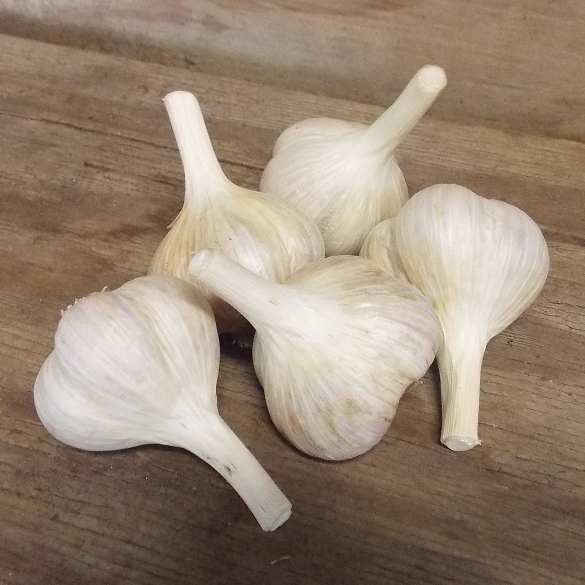 Garlic, Musik, 1/2 Lb